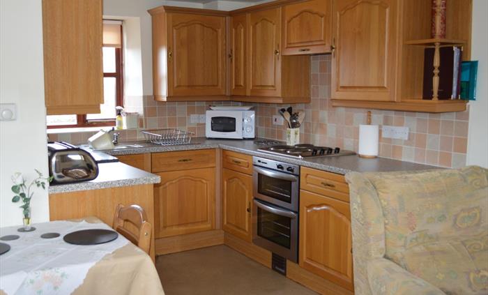 Sir Haydn Cottage - kitchen - Hendy